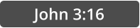 John 3:16